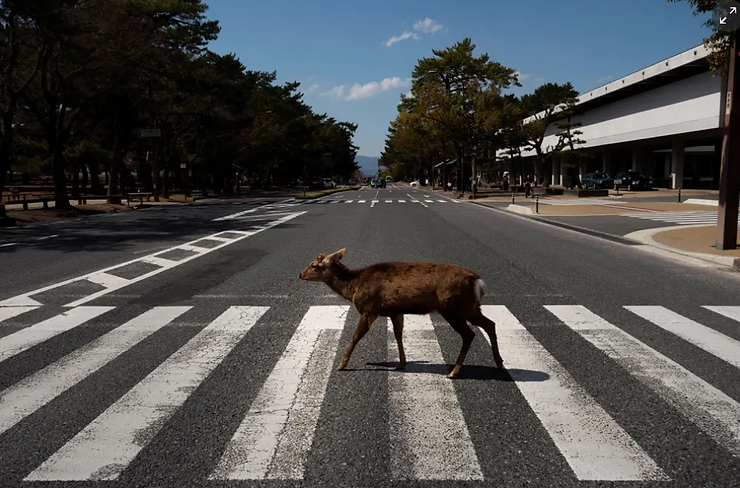 A veces caminamos en círculos…